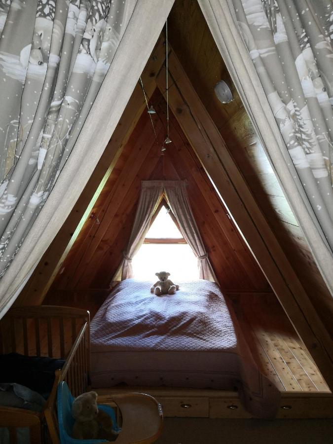 Le Chalet Pointu De Capucine 圣莫里斯堡 外观 照片